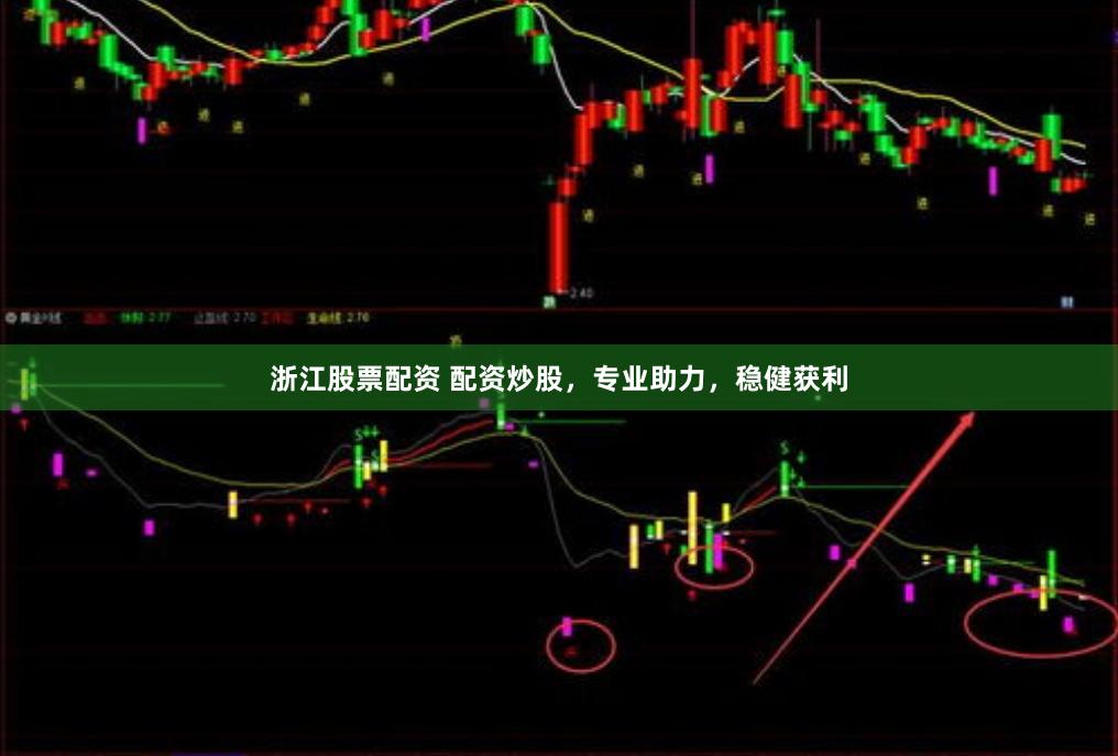浙江股票配资 配资炒股，专业助力，稳健获利