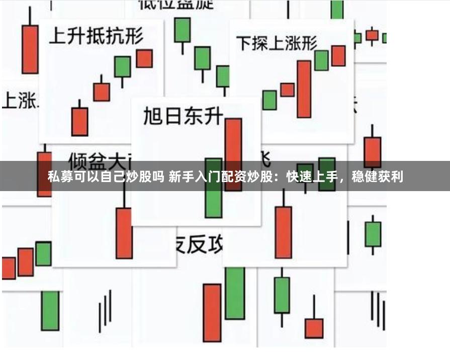 私募可以自己炒股吗 新手入门配资炒股：快速上手，稳健获利