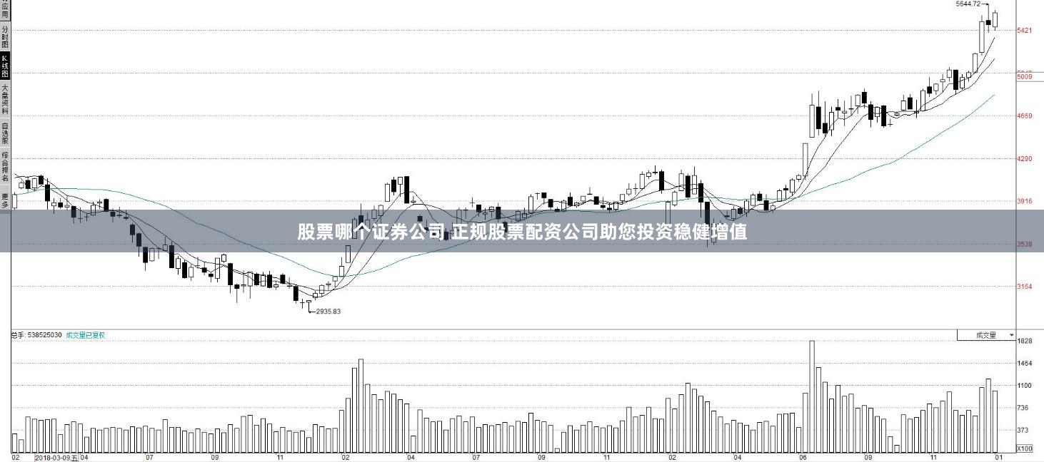 股票哪个证券公司 正规股票配资公司助您投资稳健增值